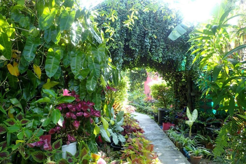 Rommai Rimnaam Resort Ranong Exterior photo